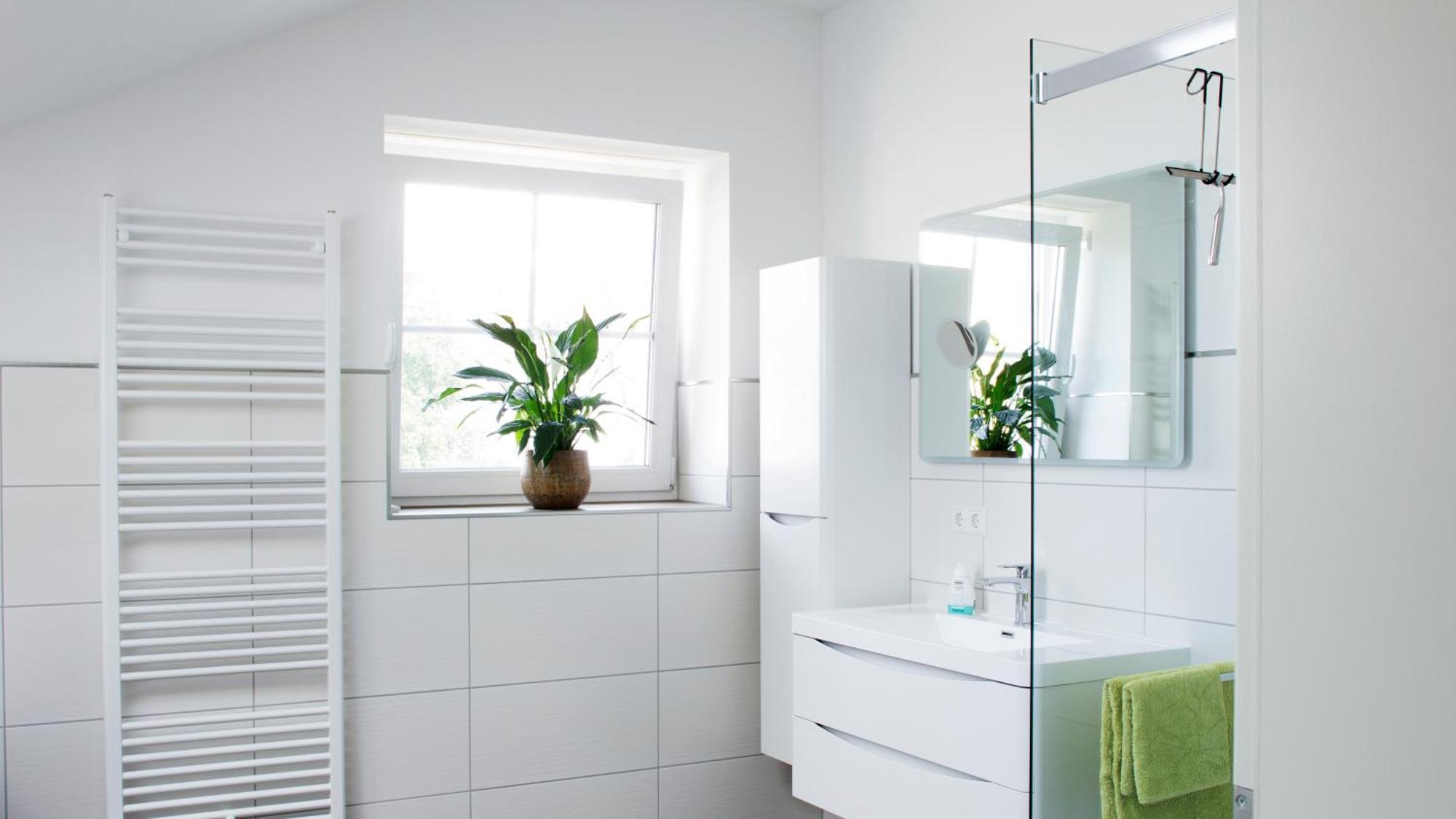 Ringelnatz & Lichtwer- Ferienwohnung Wurzen Camera foto